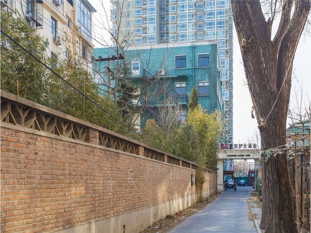 深圳模具压缩弹簧